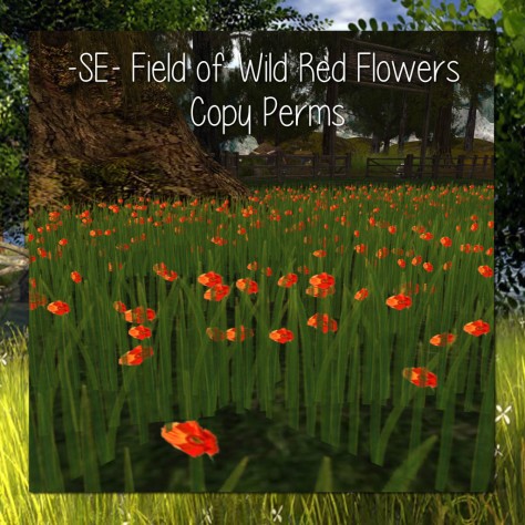 -SE- Field of Wild Flowers - Red