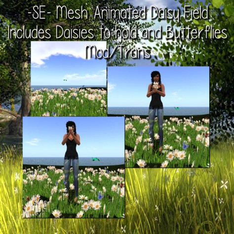 -SE- Stop and Smell the Daisies - Mesh Field