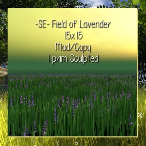 -SE- Field of Lavender - Spring Collection 2014