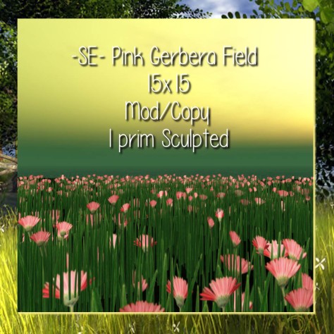 -SE- Pink Gerbera Field - Spring Collection 2014