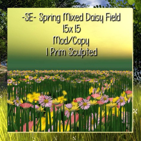 -SE- Spring Daisy Mix 3- Spring Collection 2014