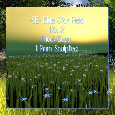 -SE- Blue Star Field - Summer 2014 Collection