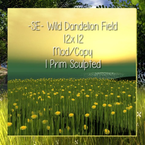 -SE- Wild Dandelion Field - Summer 2014 Collection